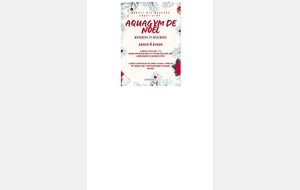 AQUAGYM de Noël le Mercredi 17 Décembre 2025