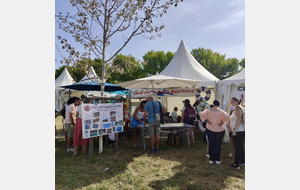 🏊‍♀️ J2 – FOIRE AUX SPORTS ☀️