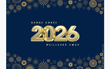 ✨Meilleurs vœux ✨