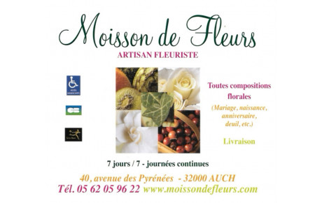 MOISSON DE FLEURS   40 av des Pyrénées 32000 Auch     Tél. 05 62 05 96 22    www.moissondefleurs.com/